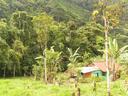 Valley home -- wood and tin.